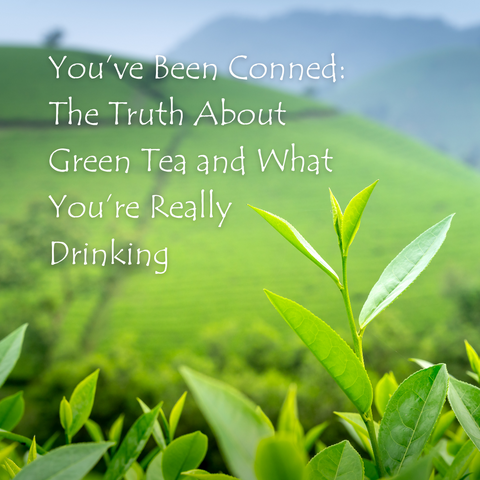 You’ve Been Conned: The Truth About Green Tea and What You’re Really Drinking