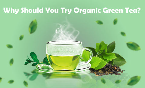 Why Should You Try Organic Green Tea?