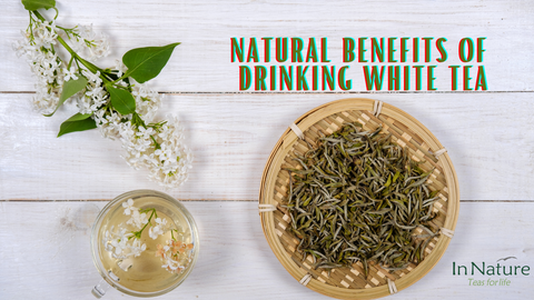 Natural Benefits of Drinking Organic White Teas