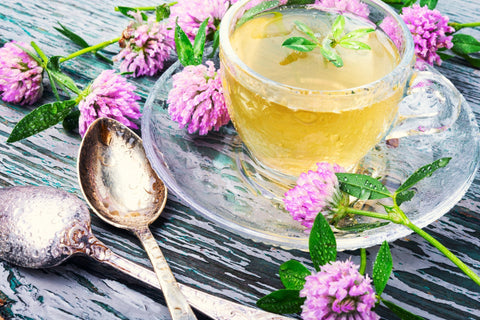 Nature is the Best Medicine | InNature Teas