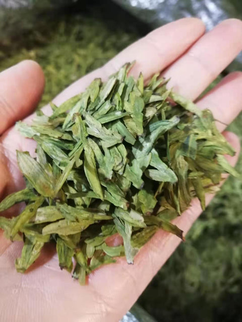 Organic Fresh Green Tea