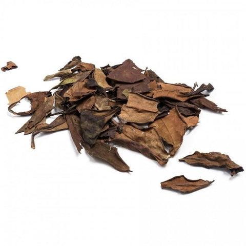 Organic Autumn Breeze Tea