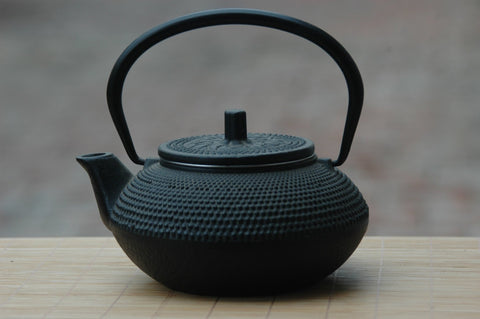 Iron Tea Pot, Japanese.